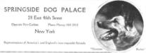 Springside Dog Palace ad featuring Blutcher&#x27;s head portrait