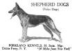 Forkland Kennels 1921 ad in country life