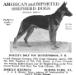 Dolf's ad for Joselle Kennels in the USA