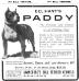 Delihant's Paddy's 1907 Kennel Advertisement