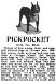 Kenilworth Pickpocket 83124