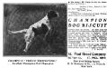 Prince Whitestone's 1907 Kennel Advertisement