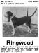 Ringwood's 1907 Ad