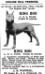 King Boo (214616)&#x27;s 1917 Kennel Advertisement