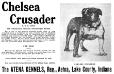 Chelsea Crusader 149133