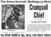 Crumpshall Chief 140416 at The Aetna Bulldogs Kennel in Indiana