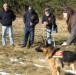 Fyrd v Barak RH Work Schaferhund Schutzhund Club 0