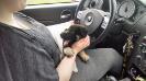 Dita on her ride home at 6 weeks old