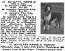 St. Botolph&#x27;s Little King 234409&#x27;s 1922 Dogdom ad for St. Botolph&#x27;s Kennels