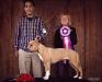 Best In Multi-Breed Show