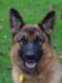Saffy's head at 18½ months old