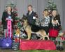 Leo&#x27;s first All Breed Best in Show at Malibu KC at 18 Months old under David Bolus
