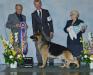 Leo&#x27;s Best in Show at Tacoma KC under Lee Brown