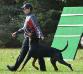 Caden IPO 3 Obedience October 15, 2016