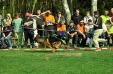 Tino gaiting