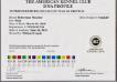 AKC DNA Certificate