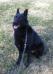 Sasha sitting at 4 years old.