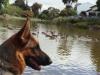 Paris enjoying a walk around a lake