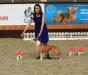 10-11 June 2017. Minsk Cacib Show. Age 10 months.  Belorussian Junior Champion