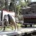 toro pulling 8500lbs