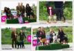 13/04/2014  SPECIAL DOG SHOW FOR VI, VII &amp; VIII FCI GROUP, CAC-HR DUGO SELO, CROATIA: Judge: Mijo Fury (CRO): Exc1, Junior BOB, BOB, 3r