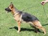 Etta Weisse Agram 10 months