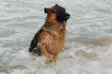 Tino at Black Sea