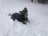 I love playing in the snow....