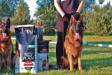 12-13.05.2018 Latvian GSD SPECIALITY SHOW