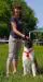 american akita ALL FOR ALMIGHTY BEFORE HEAVEN (SIMMET), 9 months old