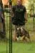 2018-06-02 South TX Syndicate Ringsport Club - MR Trial - Level 1- Retrieve