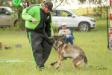 2018-06-02 South TX Syndicate Ringsport Club - MR Trial - Level 1 - Defense of handler w&#x2F;USMRA decoys Allison Seghetti-Kehoe &amp; Connor Mckeev