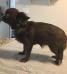 Tasha 7 1/2 month old