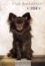 Tasha's Sire Charl'z