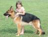 Falco 15 months