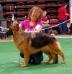 Gias first show, she took best in breed &amp; best in group