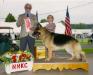 Win photo of Evelyn, GSD Jr. Handler, winning First place with Bravo in Novice Junior