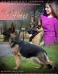 Am &amp; Can GCH Woodside's Bella Jun