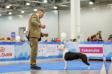 BEST OF BREED PUPPY EURASIA 2019