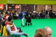 Crufts 2019