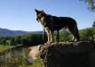 Saco Valley Overlook