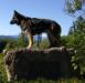 Saco Valley Overlook