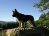 Saco Valley Overlook