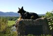 Saco Valley Overlook