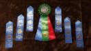 Dock Diving Dock Senior Ribbons, Average Jump was 18 ft 11 in and personal best was 20ft. 4-14-19