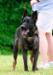 Tunguska @ 18 months