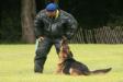 French Ring Trial (photo:Glenney)