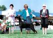 Winners Dog at 2000 DPCA National Regional Specialty under Dr. May Jacobson at two years of age.