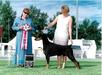 BISS at the 2000 DPCC National Specialty under Mary Rodgers at two years of age