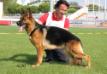 Campionato Italiano 2009